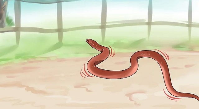 rắn thích mùi sữa mẹ (3)
